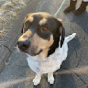 Meet your Posher, Summer